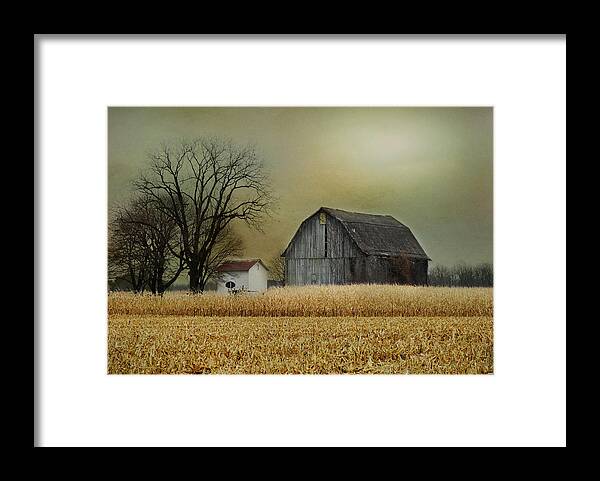 Autumn Framed Print featuring the photograph A New Dawn by Mary Timman