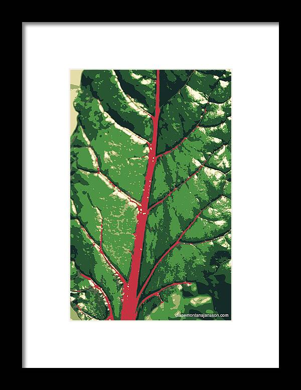 Leaf Framed Print featuring the photograph A River Runs Through It by Diane montana Jansson
