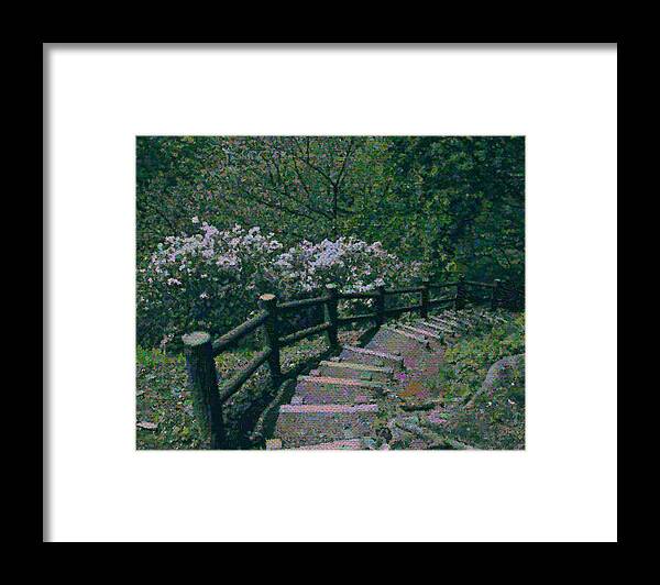 Digital Framed Print featuring the photograph A walk in the Park by Tim Ernst