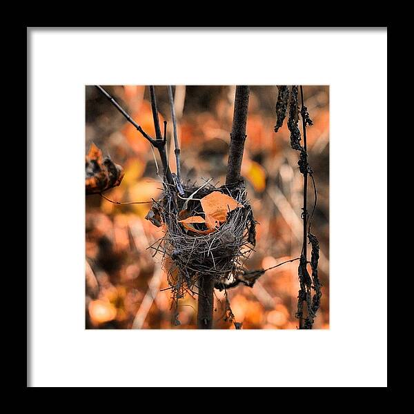 Igersrussia Framed Print featuring the photograph Abandoned House #nature #wood #forest by Grigorii Arzhanykh