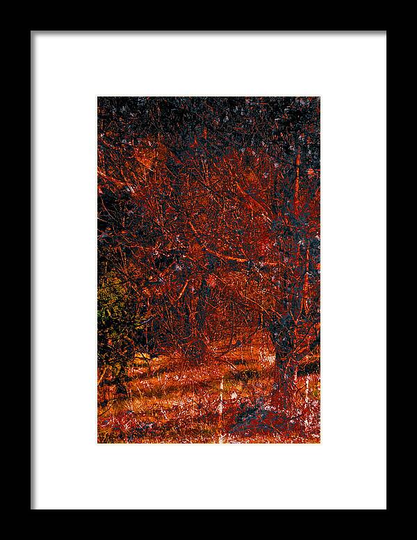 Abstract Framed Print featuring the photograph Abstract 125 by Pamela Cooper
