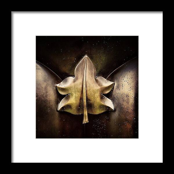 Art Framed Print featuring the photograph Adam Leaf From Botero's Male Torso - by Joel Lopez
