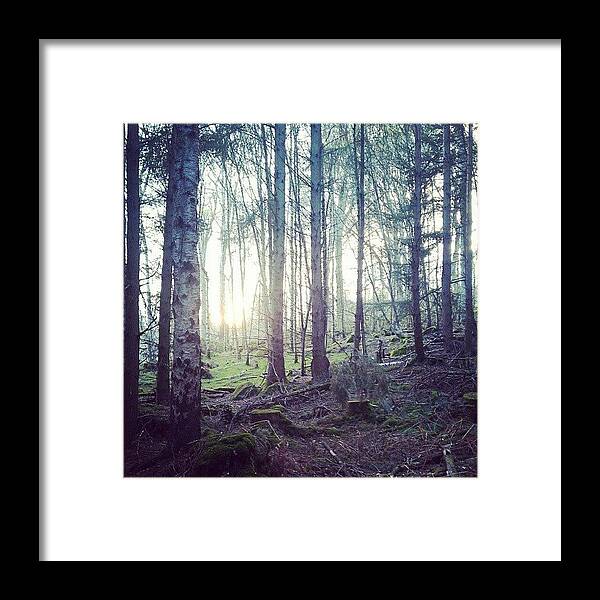 The Woods Framed Print featuring the photograph Adventuring by Vhairi Walker