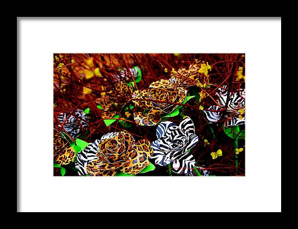Fine Art Framed Print featuring the photograph African Duck Tape Wildflowers by Laura Grisham