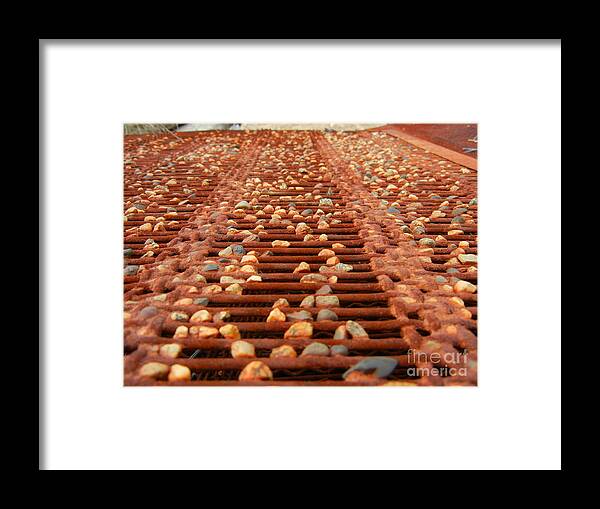 Rust Framed Print featuring the photograph Against the Grate by KD Johnson