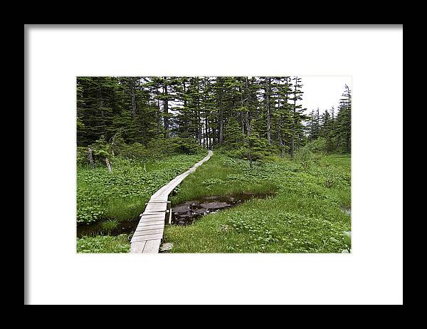 Whittier Framed Print featuring the photograph Alaska Meadow Trail by Terry Cotton