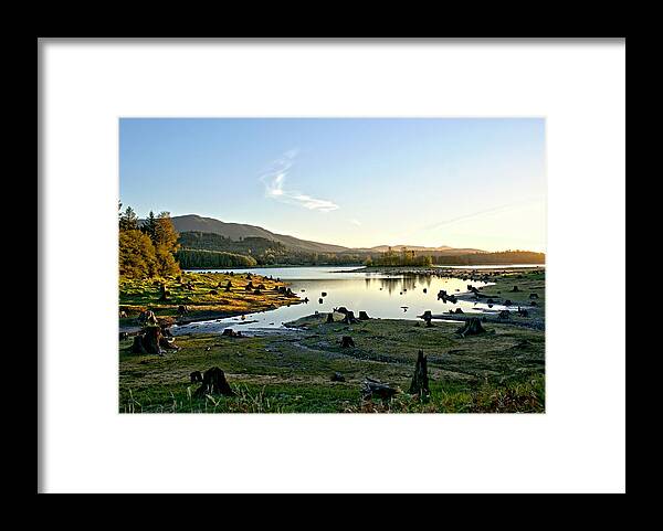 Alder Framed Print featuring the photograph Alder Lake WA at Sunset by Rob Green