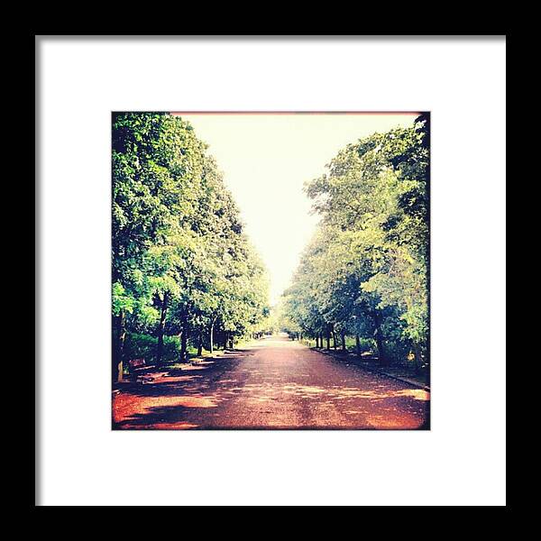 Instalondon Framed Print featuring the photograph #alexandrapalace #alexandrapark #park by Neil Menday