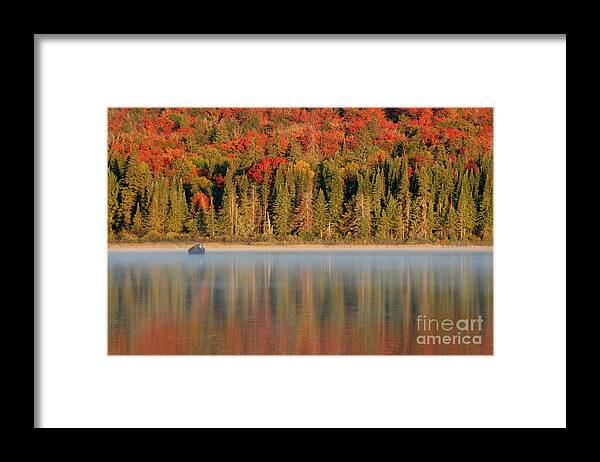 Reflection Framed Print featuring the photograph Algonquin Reflections by Chris Hill