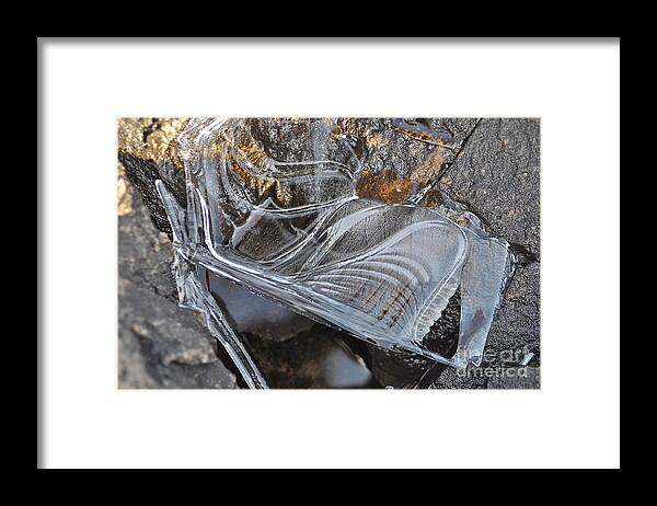 Ice Framed Print featuring the photograph Alien by Jim Simak