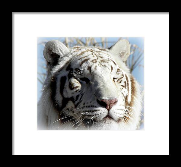 White Framed Print featuring the photograph Almost a smile by Kim Galluzzo