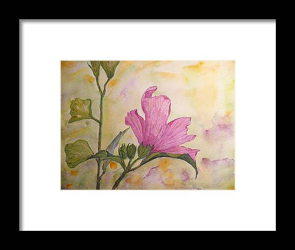 Althea Framed Print featuring the painting Althea by Stella Schaefer