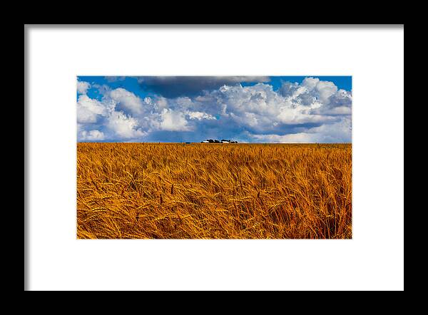 Agriculture Framed Print featuring the photograph Amber Waves of Grain by Doug Long