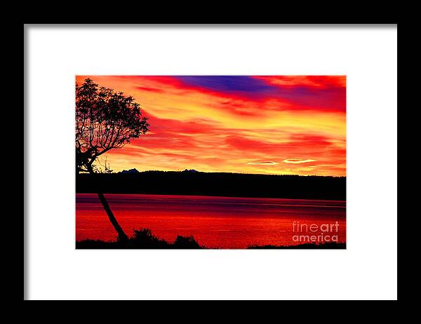 American Framed Print featuring the photograph American Glory by Tap On Photo