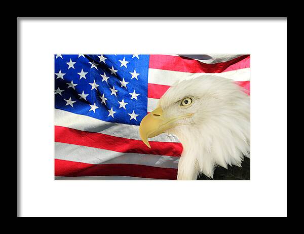 America Framed Print featuring the photograph American by Shane Bechler
