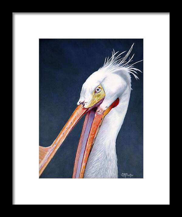 White Pelican Framed Print featuring the painting American White Pelican by Donna Proctor