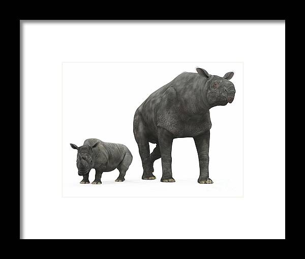 Earth Framed Print featuring the digital art An Adult Paraceratherium Compared by Walter Myers