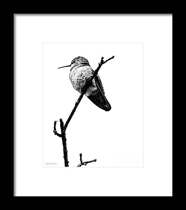 Bird Framed Print featuring the digital art Another Little Bird by Rhonda Strickland