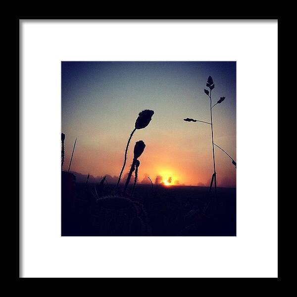 Poppyart Framed Print featuring the photograph Another Sunrise by Urs Steiner