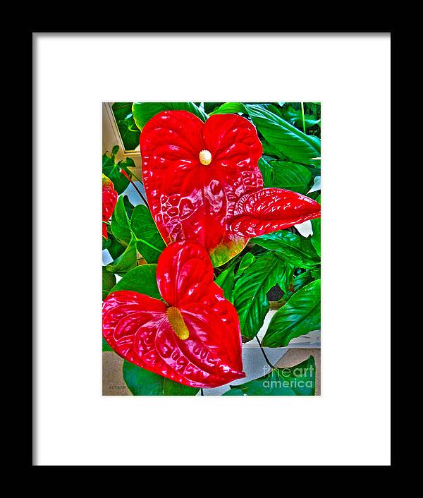 Ebsq Framed Print featuring the photograph Anthurium by Dee Flouton