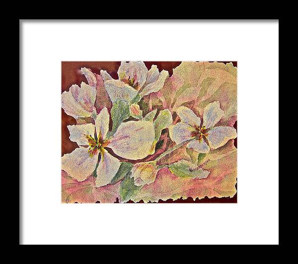 Watercolor Framed Print featuring the painting Apple Blossoms by Carolyn Rosenberger