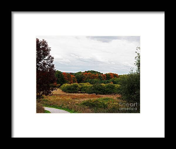 Dundas Valley Framed Print featuring the photograph Apple Orchard Gone Wild by Barbara McMahon