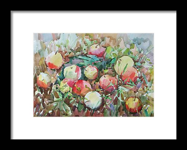Apple Watercolor Framed Print featuring the painting Apples on grass by Juliya Zhukova