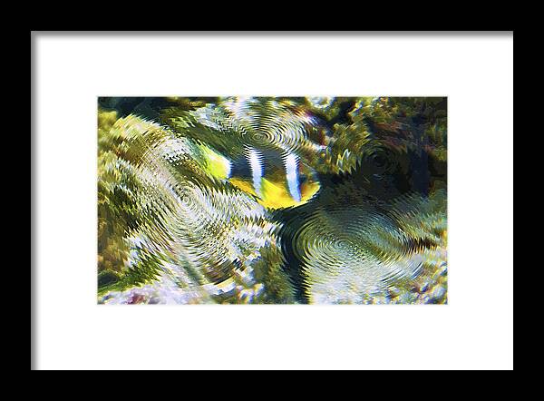 Fish Framed Print featuring the photograph Aquarium Art 24 by Steve Ohlsen