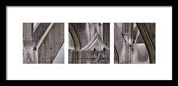 Architecture Framed Print featuring the photograph Architectural Detail Triptych by Carol Leigh