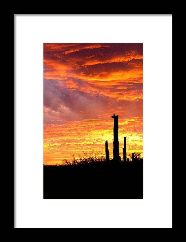 Cactus Framed Print featuring the photograph Arizona Sunset And Saguaro by Dina Calvarese