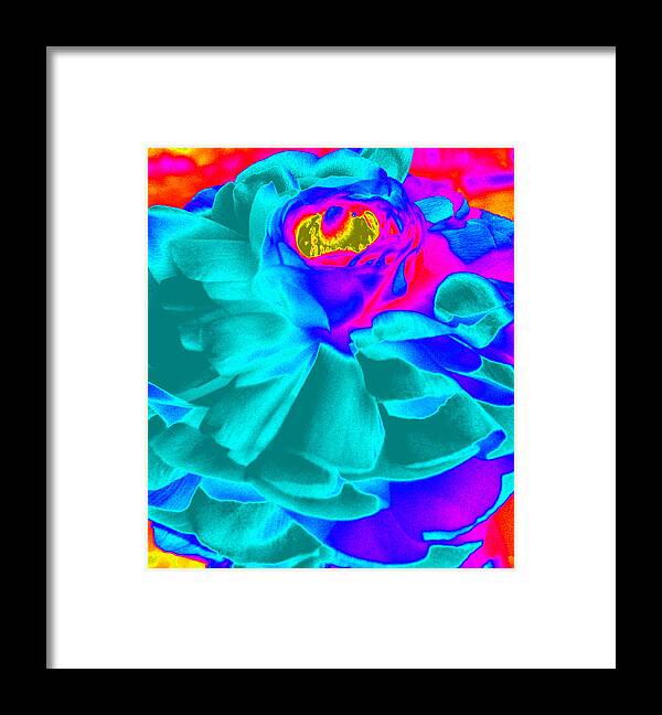 Ranunculus Flower Framed Print featuring the photograph Artfully Playful by Kim Galluzzo Wozniak