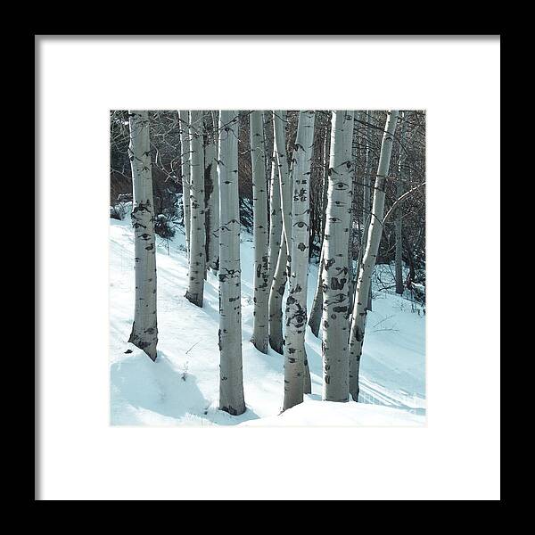 Winter Aspen Framed Print featuring the photograph Aspen have Eyes by L J Oakes