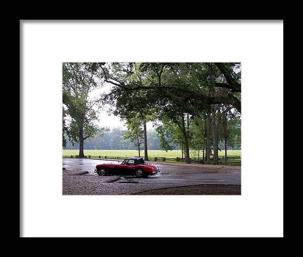 Photograph Framed Print featuring the photograph Austin Healey 100-6 by Richard Willows