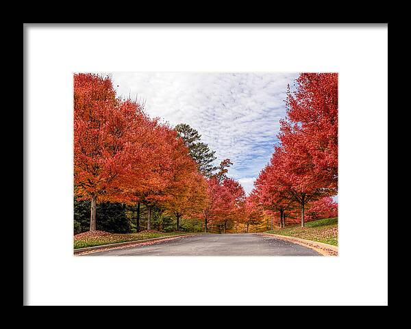 Autumn Framed Print featuring the photograph Autumn Colors by Anna Rumiantseva