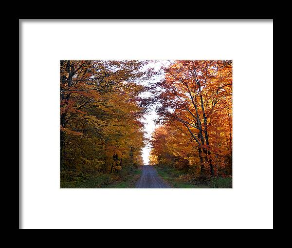 Woods Framed Print featuring the photograph Autumn Fire by Terry Eve Tanner