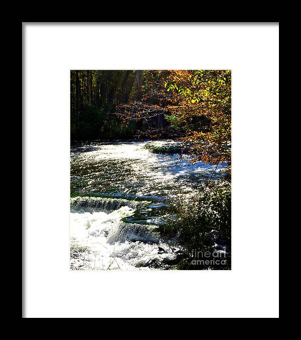 Diane Berry Framed Print featuring the photograph Autumn Glow by Diane E Berry
