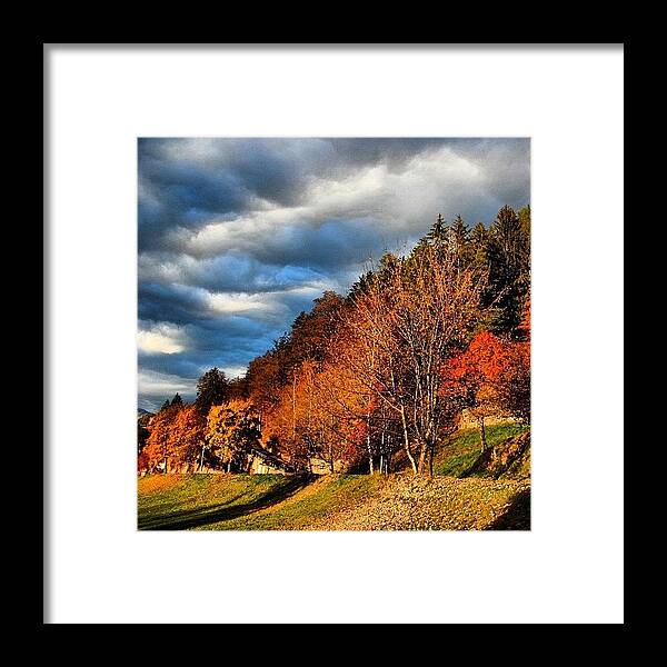  Framed Print featuring the photograph Autumn In Southtyrol by Luisa Azzolini