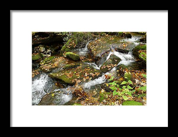 North Carolina Places Framed Print featuring the photograph Autumn Rushing By by Joel Deutsch