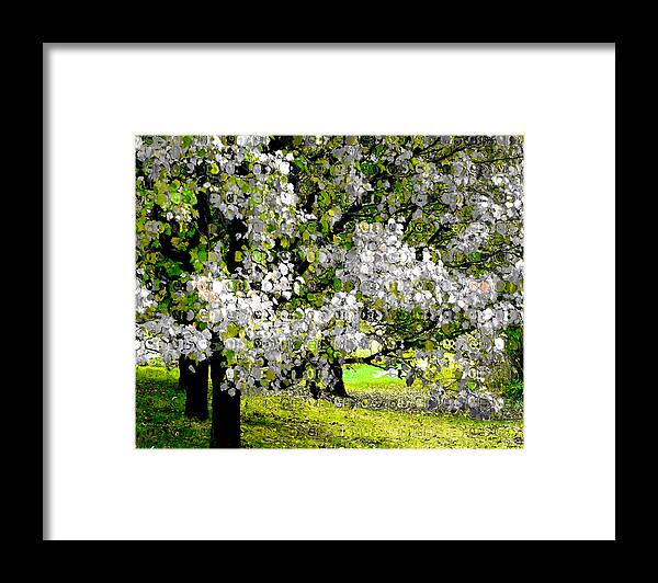 Trees Framed Print featuring the photograph Autumn Trees by JoAnn Lense