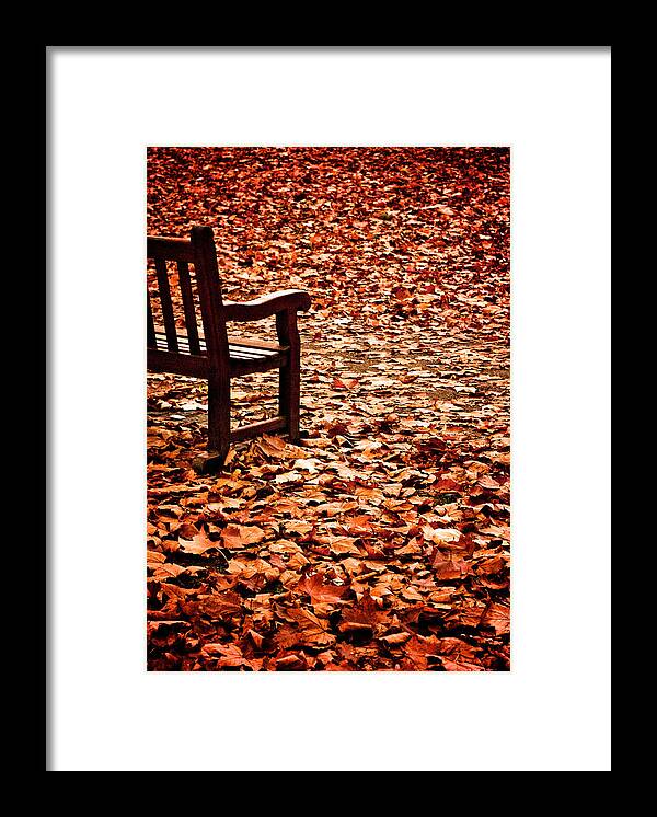 Autumn Framed Print featuring the photograph Autumnal Colours by Lenny Carter