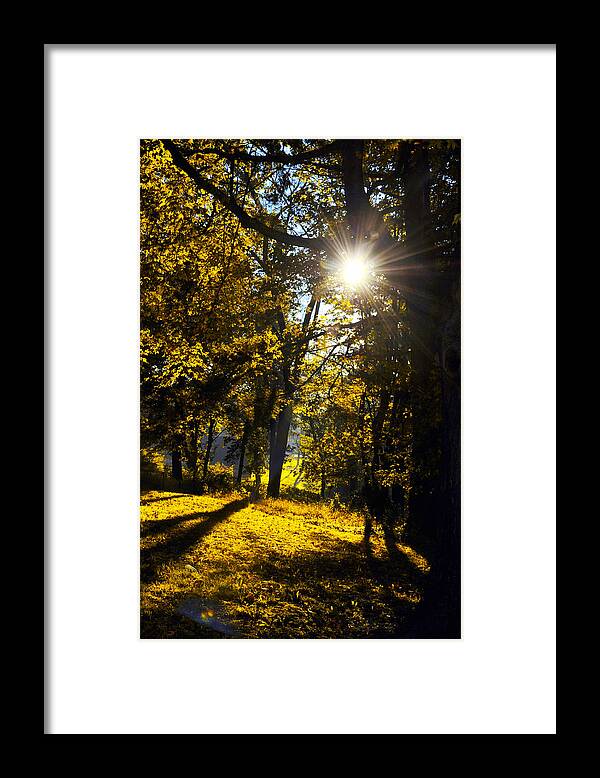 Autumn Framed Print featuring the photograph Autumnal Morning by Bill Cannon