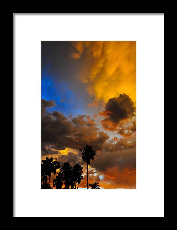 Aware Framed Print featuring the photograph Aware by Skip Hunt