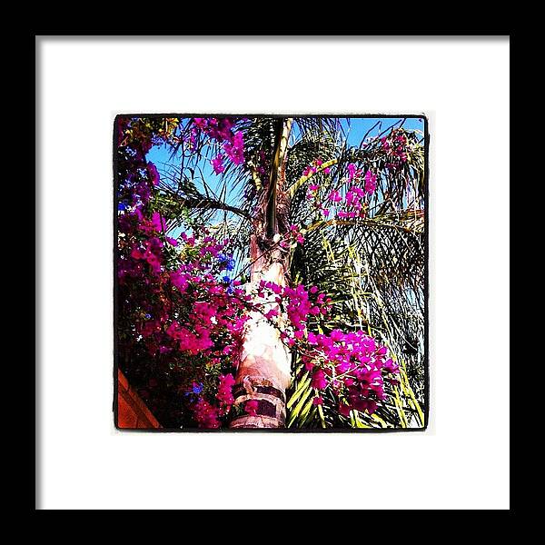 Picoftheday Framed Print featuring the photograph Backyard by Rick Annette