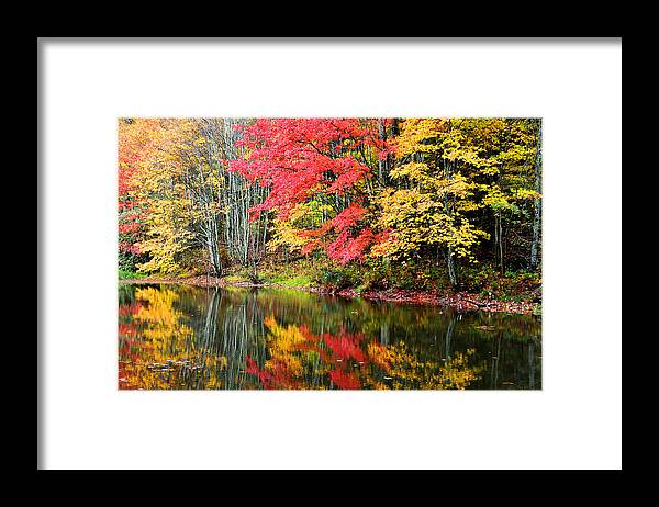 Autumn Framed Print featuring the photograph Bank of Color by Alan Lenk