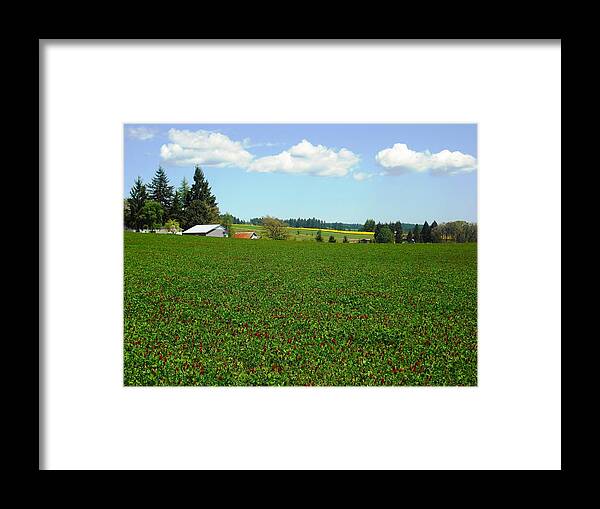 Banks Framed Print featuring the photograph Banks Oregon by Kelly Manning