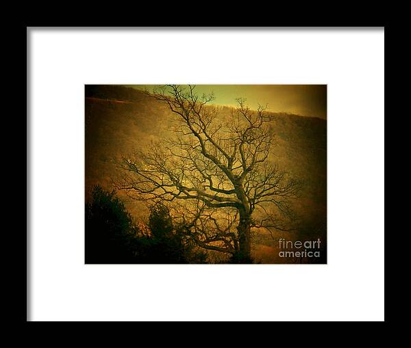 Winter Framed Print featuring the photograph Bare Tree in Winter by Joyce Kimble Smith