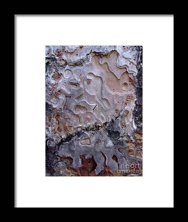 Tree Framed Print featuring the photograph Bark Patterns by Janeen Wassink Searles