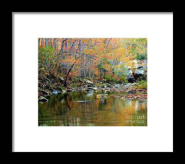 Creek Framed Print featuring the photograph Barkshed Creek Toned by Kevin Pugh