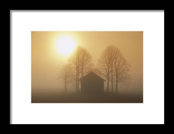 Mp Framed Print featuring the photograph Barn, Trees And Sun Shining by Konrad Wothe