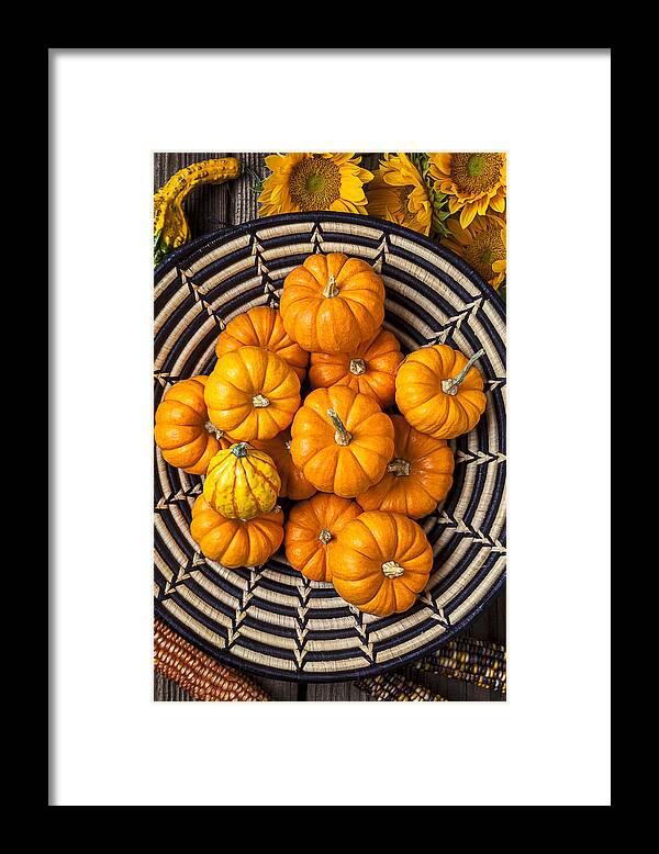 Basket Full Stack Framed Print featuring the photograph Basket full of small pumpkins by Garry Gay